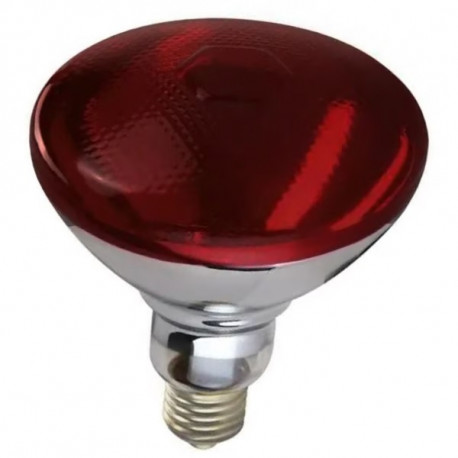 Lâmpada Infravermelha 250w 220v R125 CORPO VERMELHO